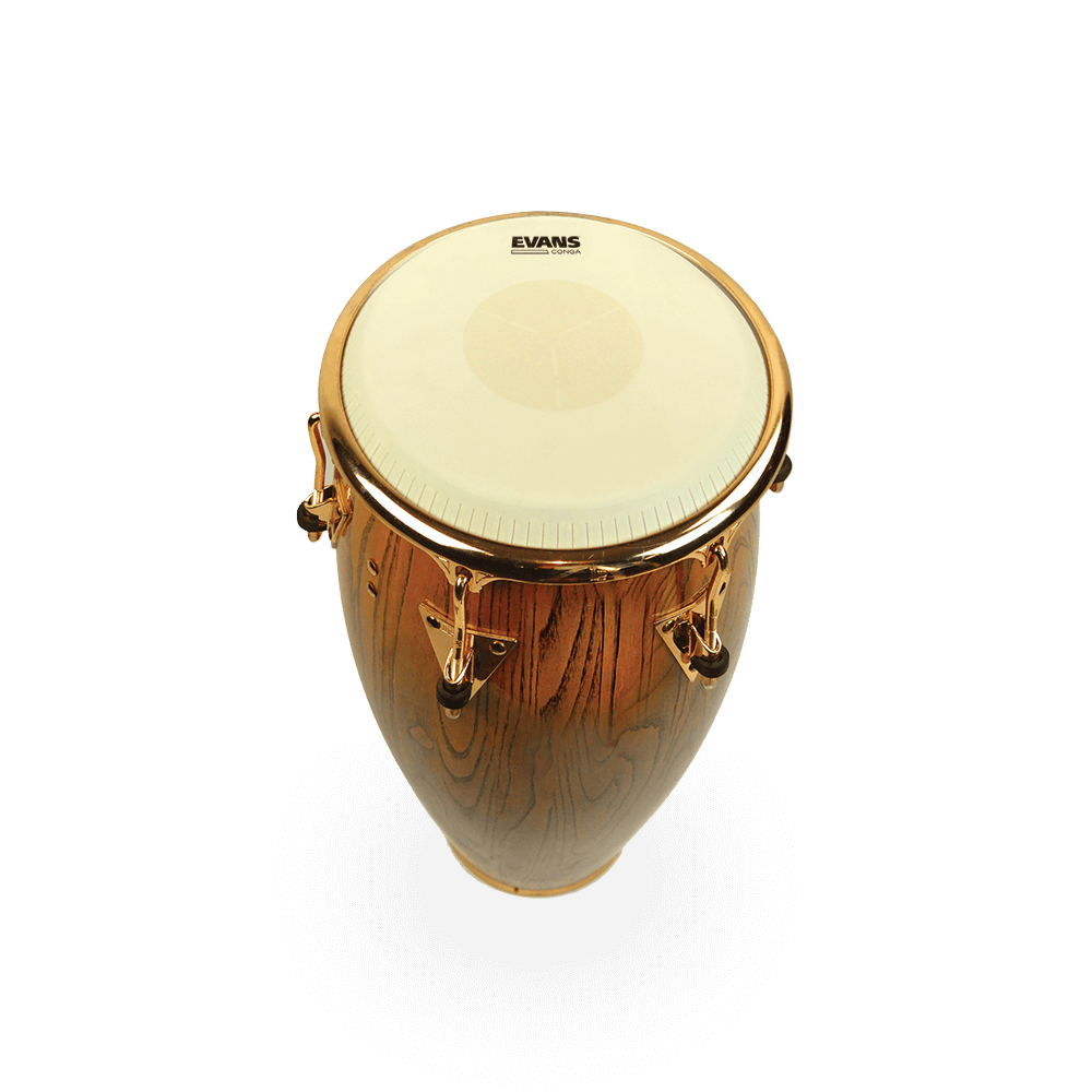 evans-tri-center-conga-drumhead-conga-fell-mit-center-dot image 8