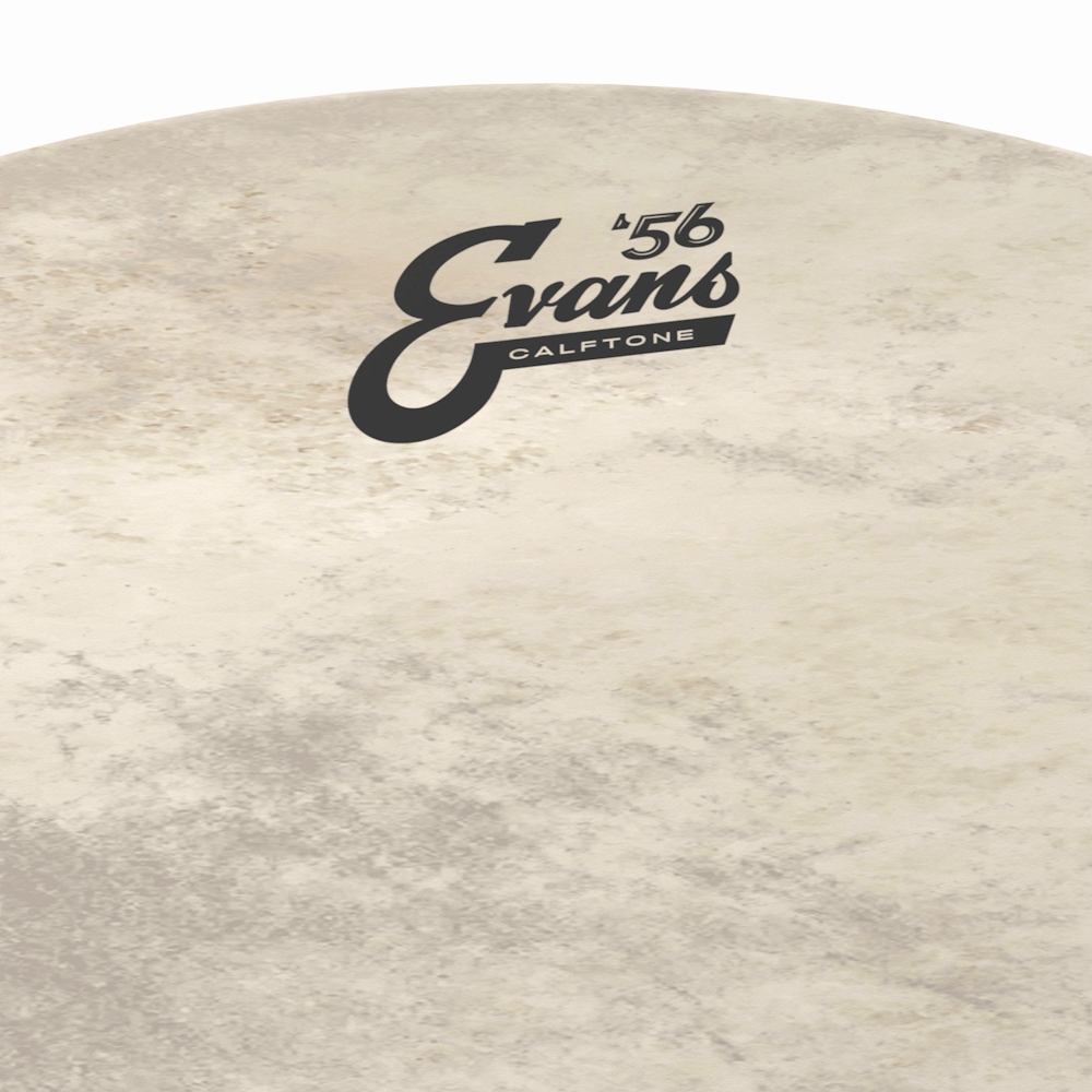 evans-calftone-bass-batter-drumhead-bass-fell-in-kalbsoptik image 8