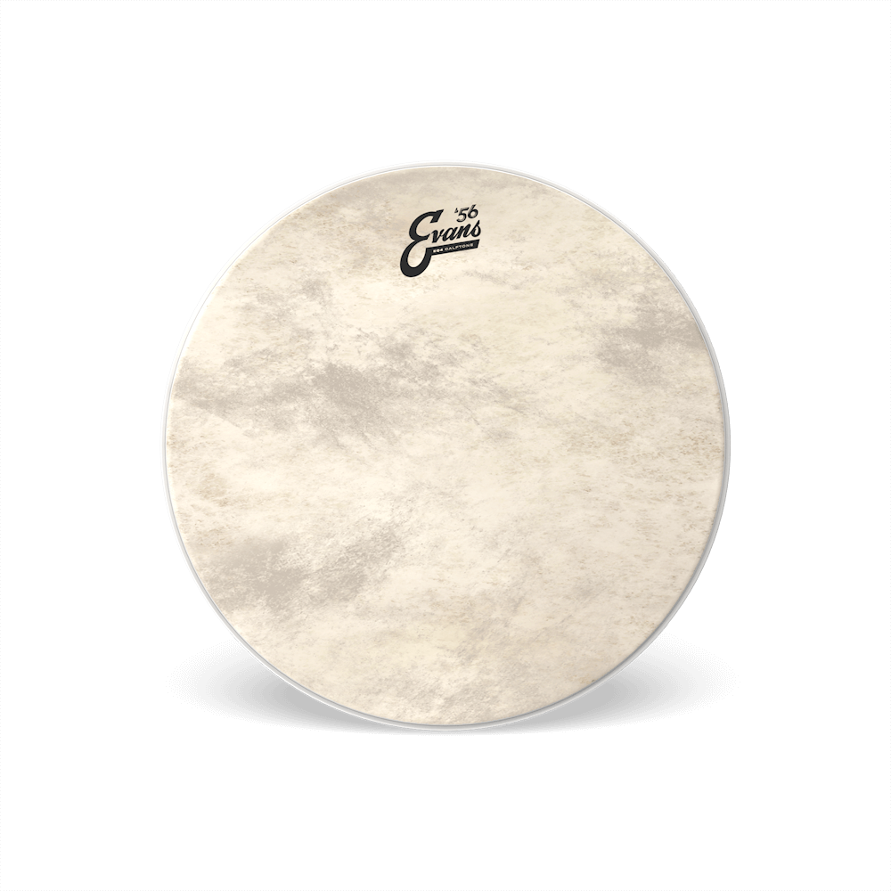 evans-eq4-calftone-bass-reso-resonanzfell image 7
