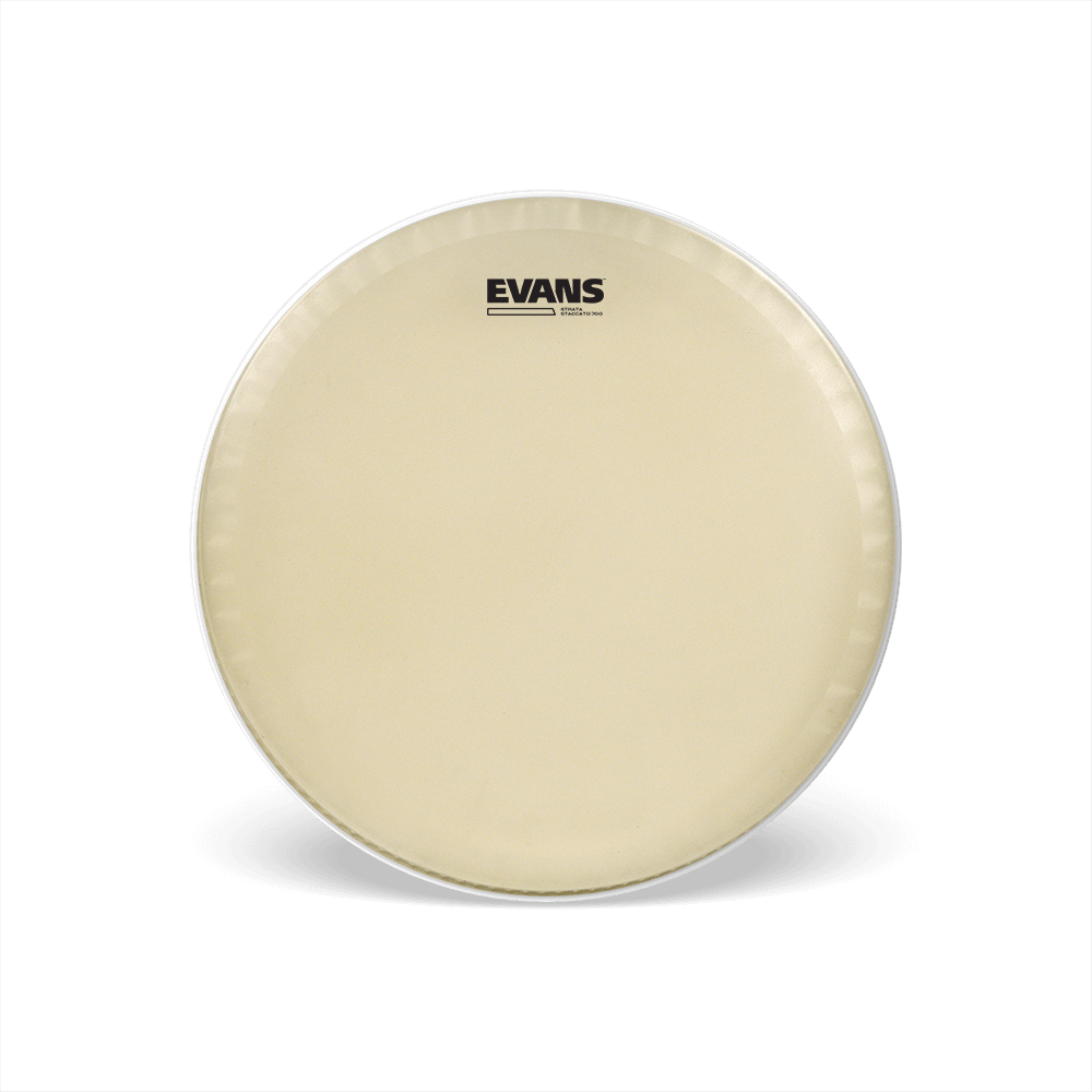 evans-strata-staccato-700-14-snare-schlagfell image 1