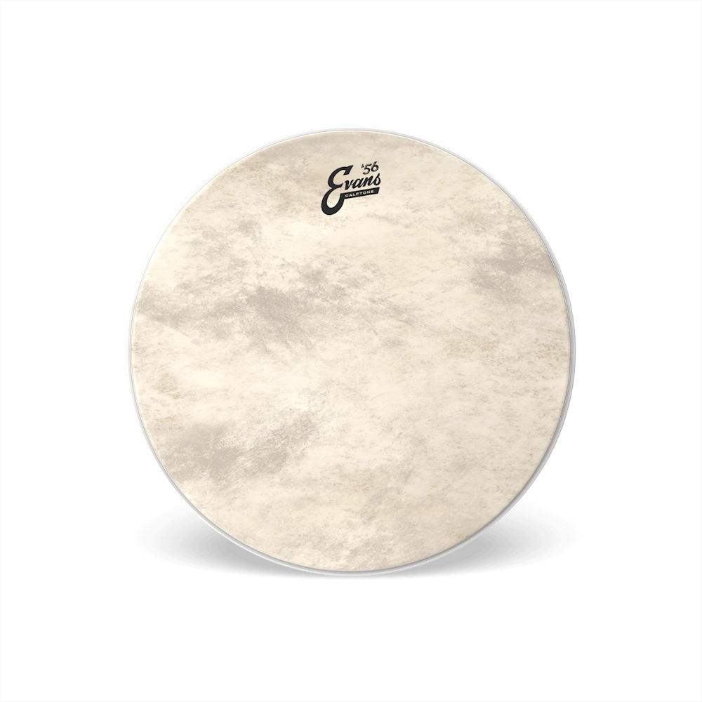evans-calftone-bass-batter-drumhead-bass-fell-in-kalbsoptik image 3