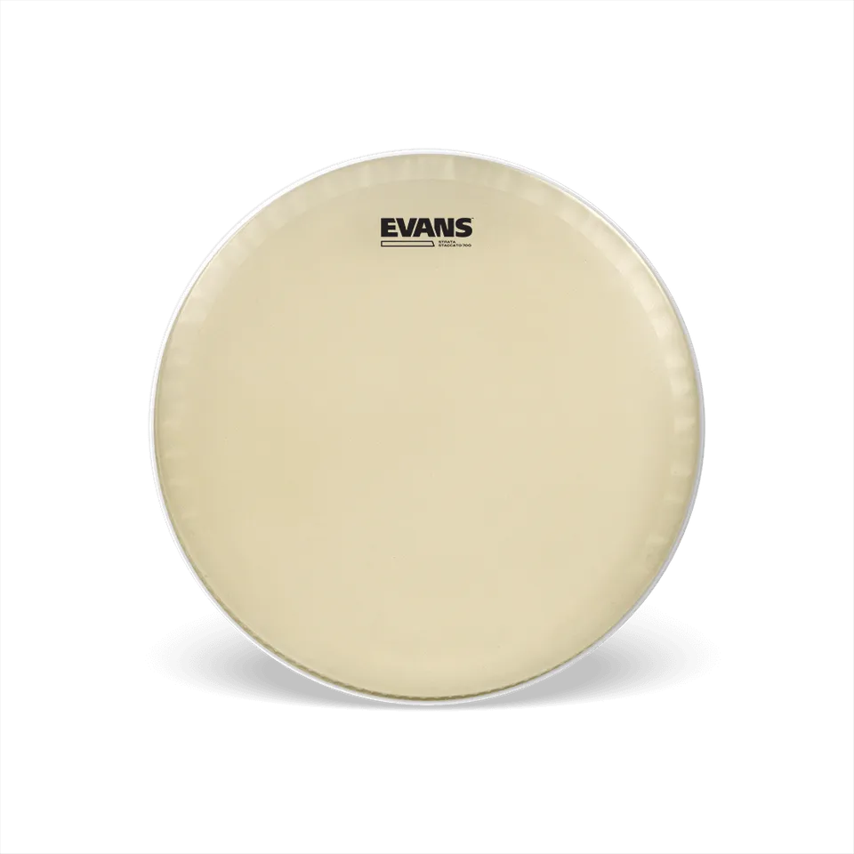 evans-strata-staccato-700-14-snare-schlagfell image 1