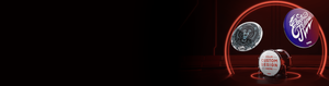 evans-eq3-custom-bass-drumfell image 7