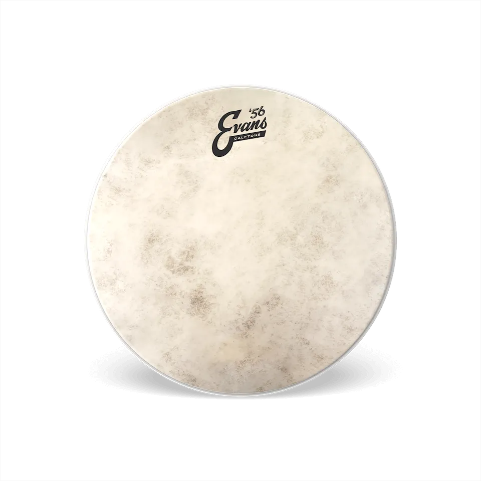 evans-calftone-snare-batter-drumhead-snare-fell image 1