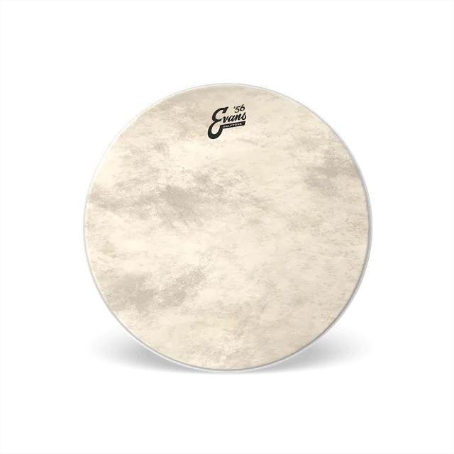 evans-calftone-bass-batter-drumhead-bass-fell-in-kalbsoptik image 1