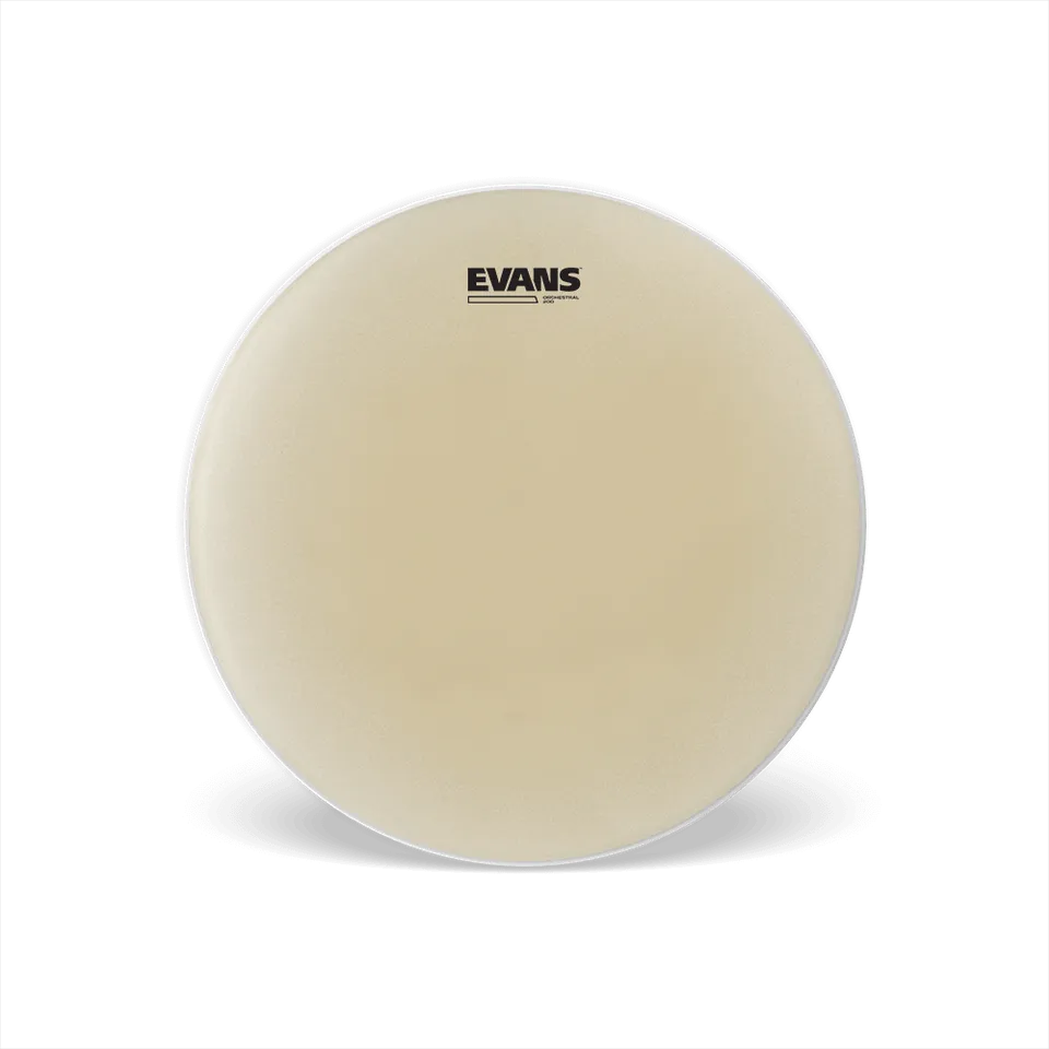 evans-orchestral-200-14-snare-resonanzfell image 1