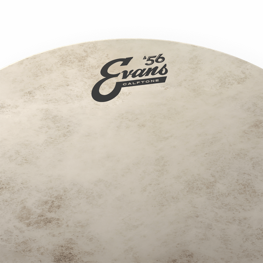 evans-calftone-snare-batter-drumhead-snare-fell image 4